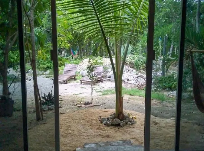 Hidden Oasis Jungle