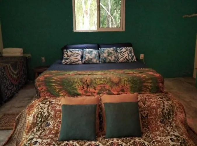 Lodge Hidden Oasis Jungle Chemuyil
