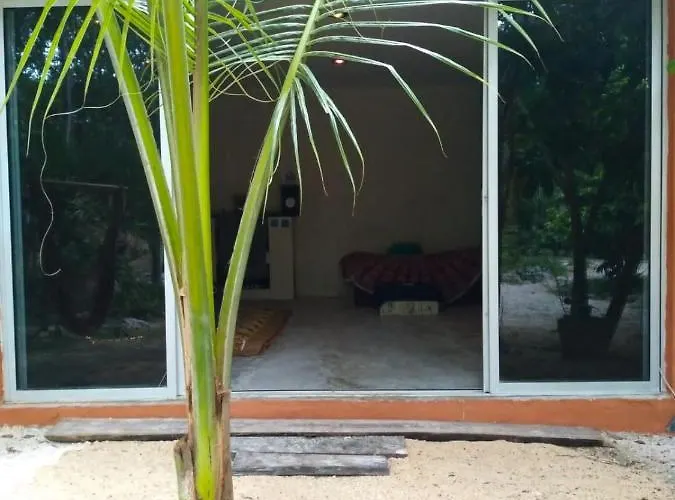 Hidden Oasis Jungle Lodge Chemuyil