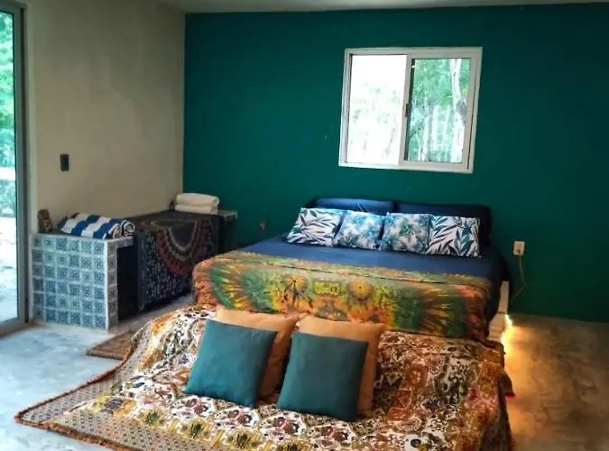 Lodge Hidden Oasis Jungle *