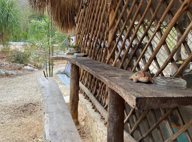 Lodge Hidden Oasis Jungle Chemuyil