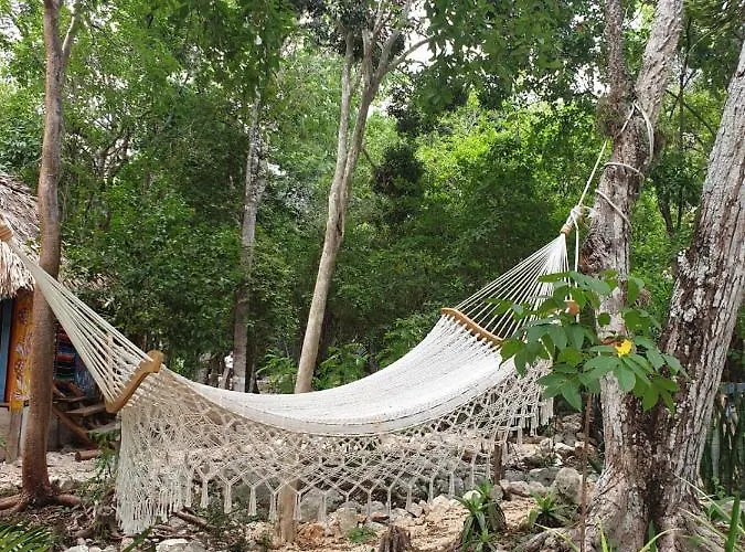 Lodge Hidden Oasis Jungle Chemuyil