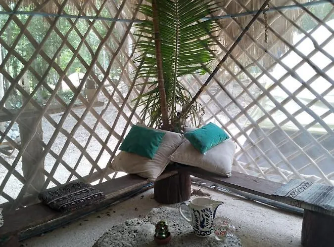 Hidden Oasis Jungle Lodge Chemuyil