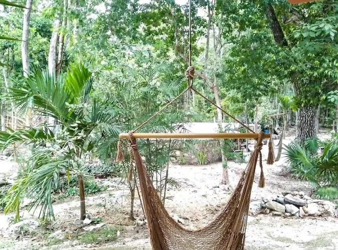 Lodge Hidden Oasis Jungle *