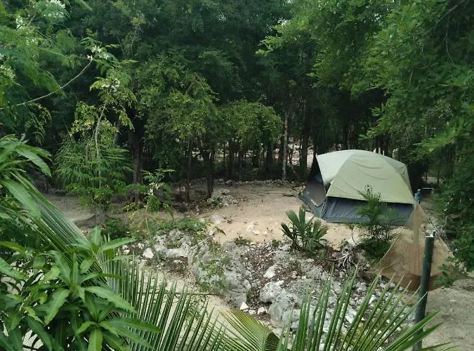 Hidden Oasis Jungle *