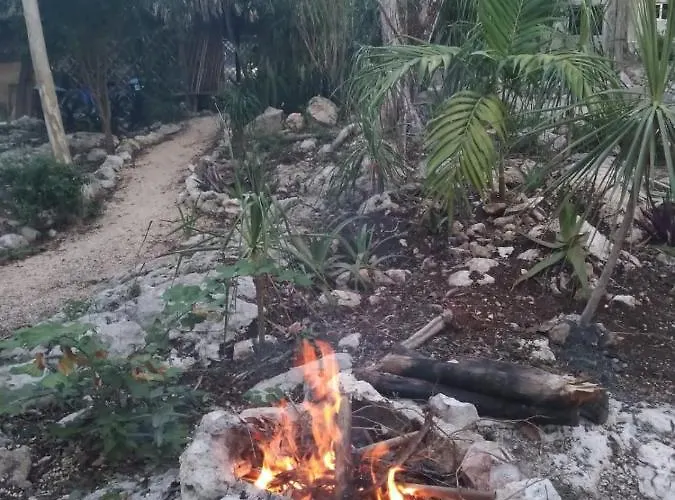 Lodge Hidden Oasis Jungle