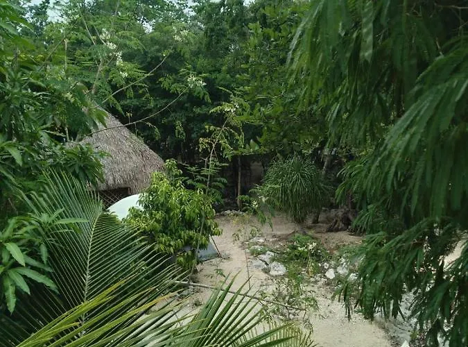 Hidden Oasis Jungle