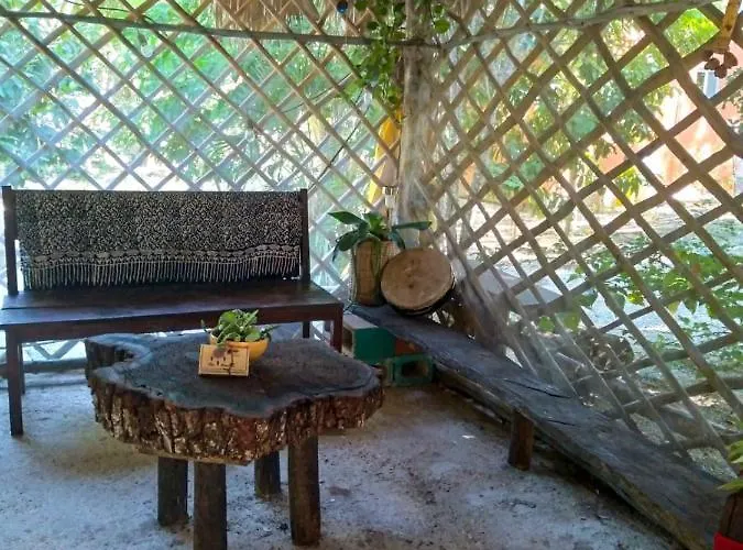 Hidden Oasis Jungle *