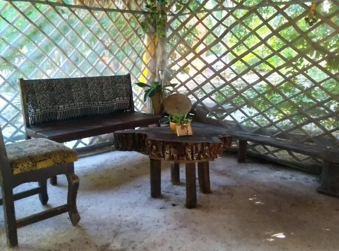 Hidden Oasis Jungle Chemuyil