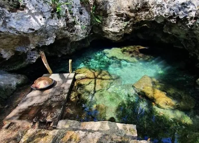 Hidden Oasis Jungle *