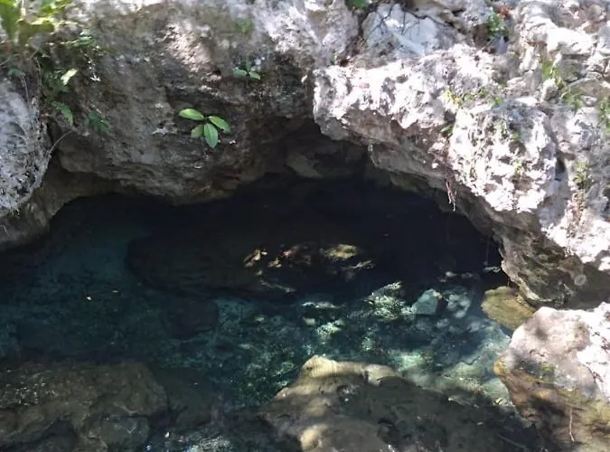 Lodge Hidden Oasis Jungle Chemuyil